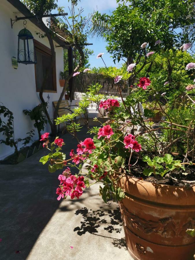 סטרומבולי Aquilone Residence מראה חיצוני תמונה